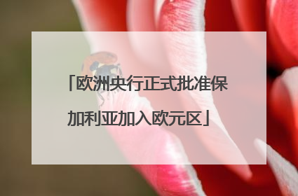 欧洲央行正式批准保加利亚加入欧元区